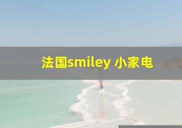 法国smiley 小家电